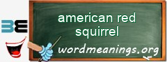 WordMeaning blackboard for american red squirrel